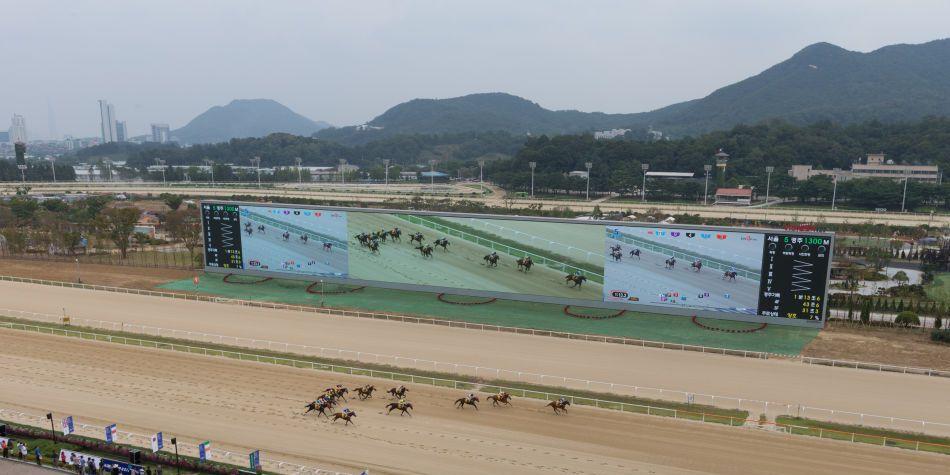 이준철 조교사, 이번 주에도 아홉수 타파 고전