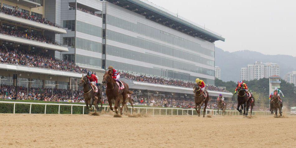 토요일 서울경마 국3등급 1800M 핸디캡 프리뷰