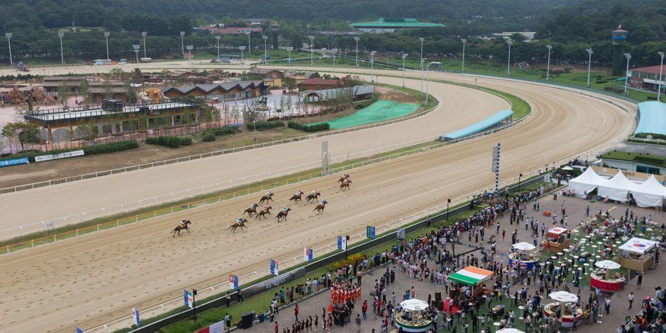 한 주동안 서울경마에서 다승을 기록한 조교사와 기수