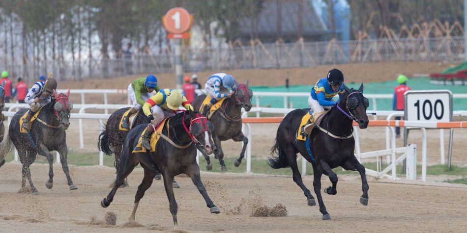 토요일 서울경마 2등급 1800M 핸디캡 출전등록현황