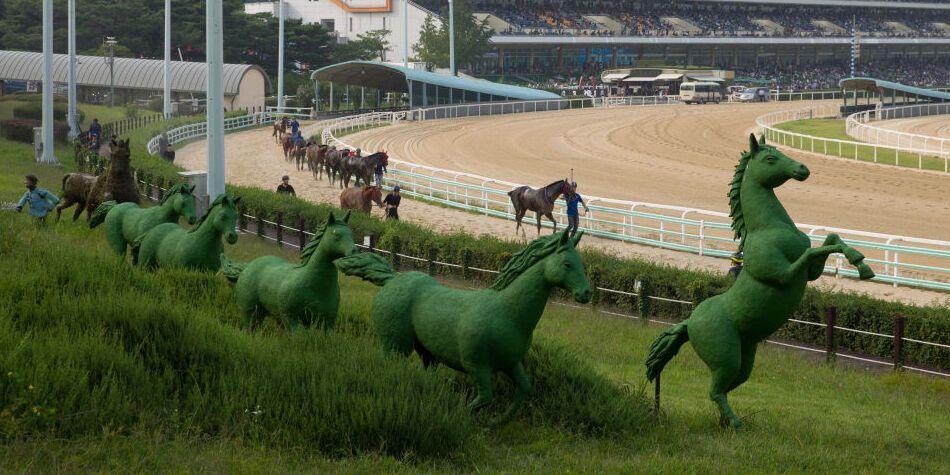 일요일 서울경마 1등급 1200M 핸디캡 출전등록현황