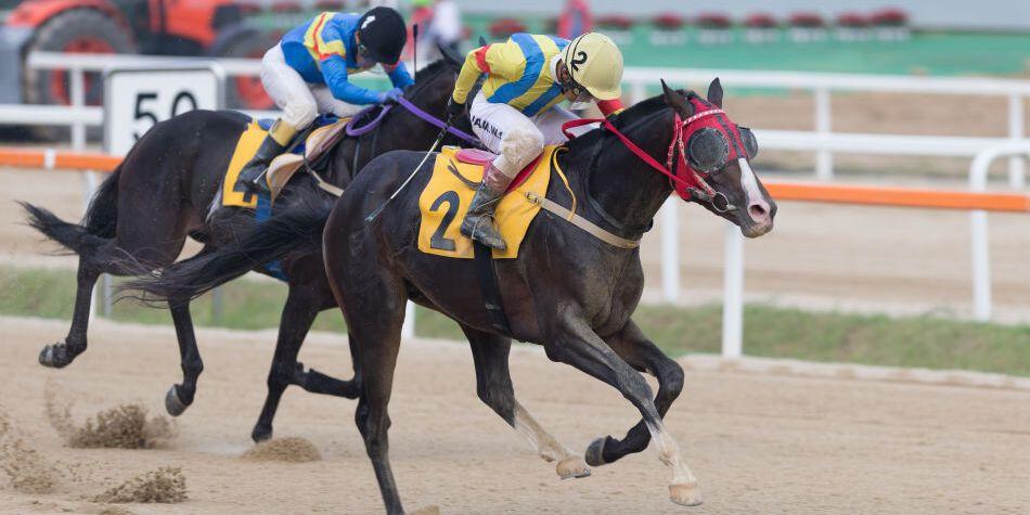 블랙맘바, 부산 2등급 1600m 핸디캡 경주 1위 쾌거