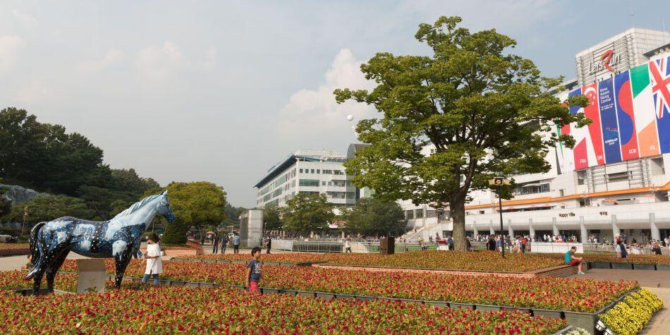 꾸준히 발전하며 승수 쌓는 정우주 기수