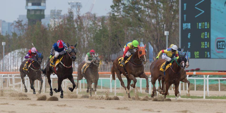 프리뷰: 9월 8일 ‘부산광역시 강서구청장배’ 1200m