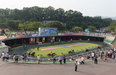 토요일 서울 1,200m 핸디캡 경주 우승 예상마