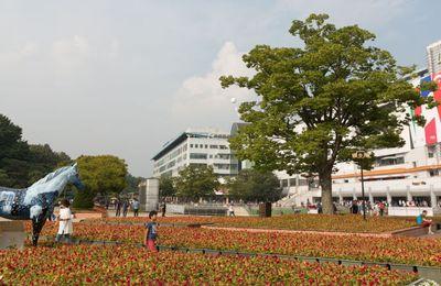 예상밖의 결과로 흥미로웠던 부산 금요경마