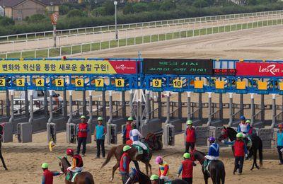 큐피드웨이, 서울서 우승과 함께 혈통적 기대치 입증