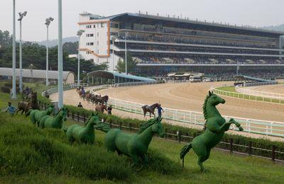 이번 주말 서울 우승마는 코브라볼이 될 것인가