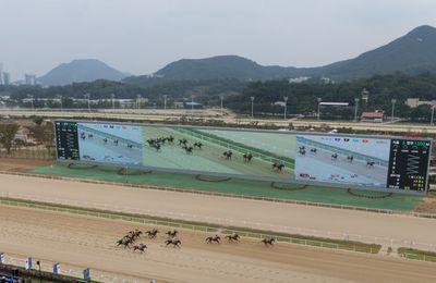 일요일 서울 경주의 두 주인공, 포에버드림과 사려니퍼스트