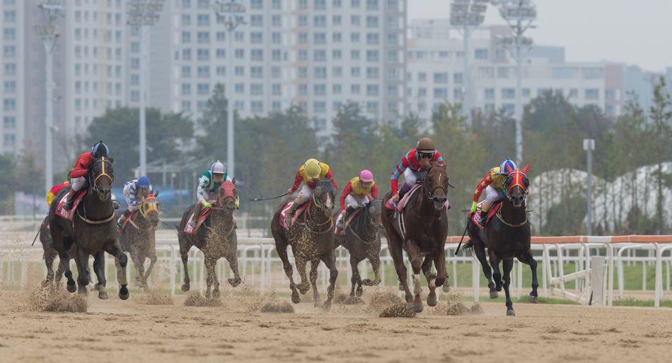 지난 일요일(19일) 외국인 조교사들의 경주마들이 1위를 석권해 눈길을 끌었다.