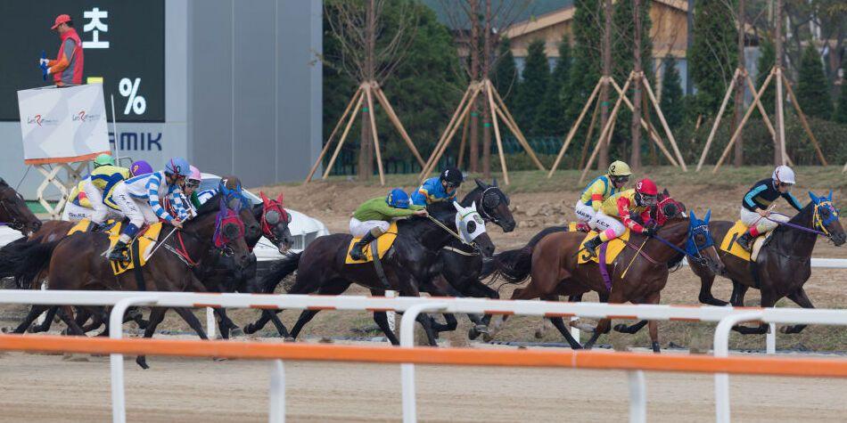 서울 제11경주 혼3등급 1200m 핸디캡 출전등록현황