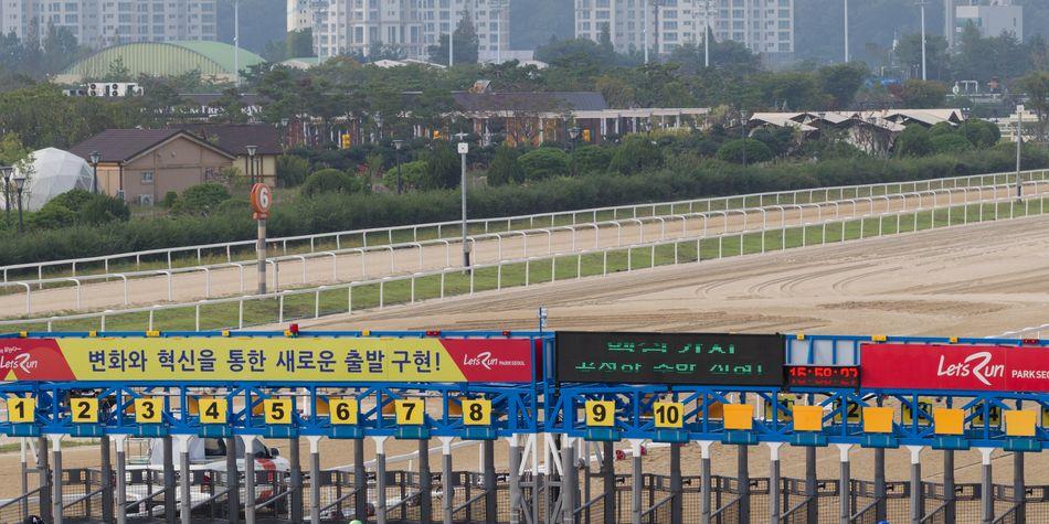 한국의 경마장