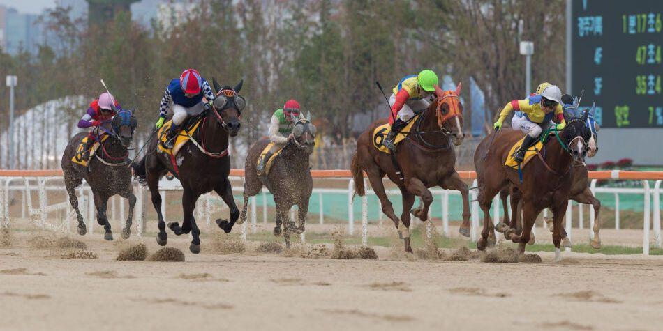 치열한 경주가 펼쳐지는 서울 경마 공원