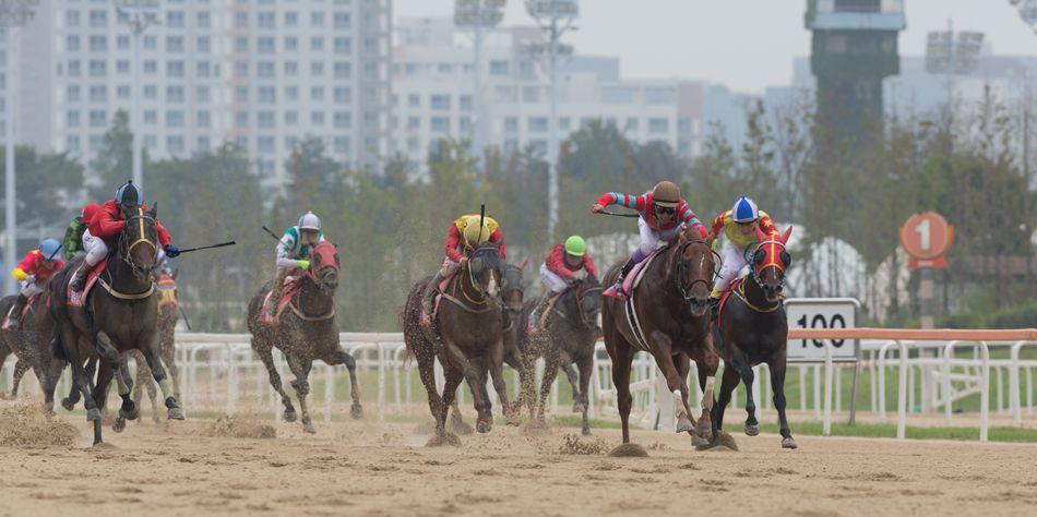 부산 2등급 1800m 핸디캡 경주 프리뷰