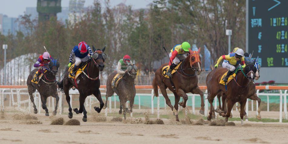 선드래곤을 100m 지점에서 따라잡고 새내타운이 1위로 결승을 통과했다