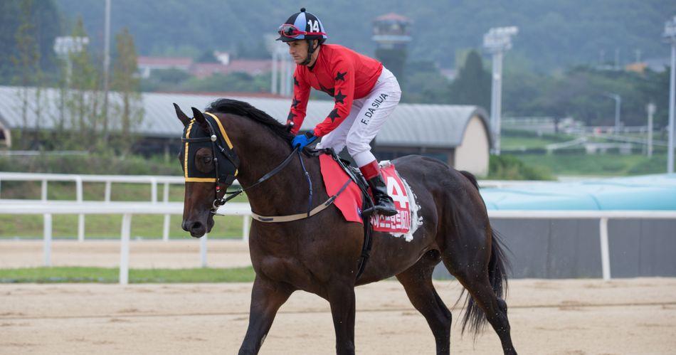 서울 제10경주 1등급 2300m 핸디캡 출전등록현황