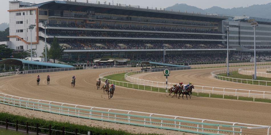 23일(일) 11개의 경주가 펼쳐질 서울 